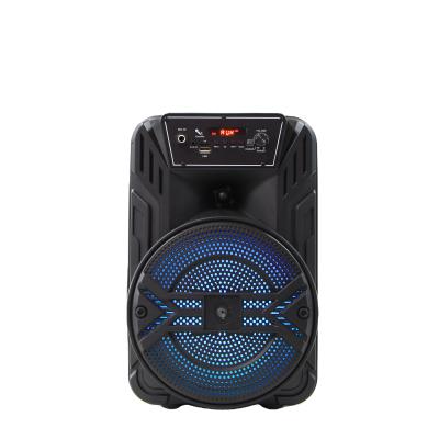 China DTS OEM BT Led Radio Lightweight Portable Outdoor Trolley Fm Rechargeable Radio 8 Inch Speaker for sale