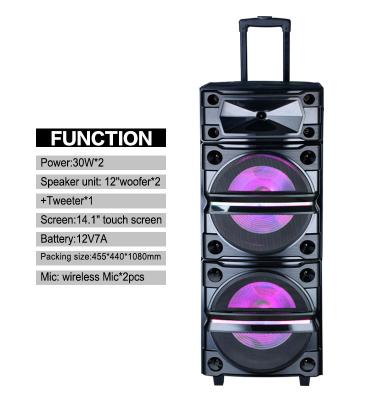 China The factory OEM karaoke BT wooden indoor lightweight cart AUX speakers. Large Video Wireless LED Dual 12