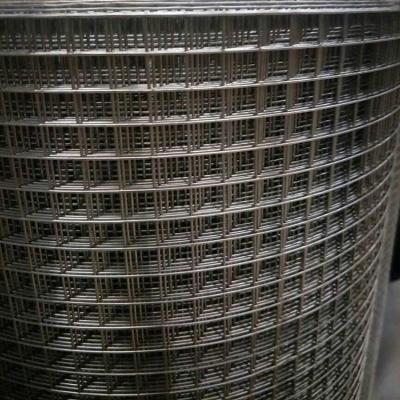 China Welded Welded Wire Mesh For Bird Cage for sale