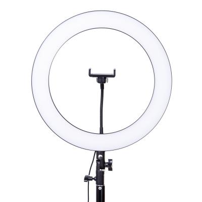 China Sale PORTABLE Products Arcury M36 36W LED Ring Light with Remote Control for Vlog Photography Studio Live Broadcast Equipment for sale