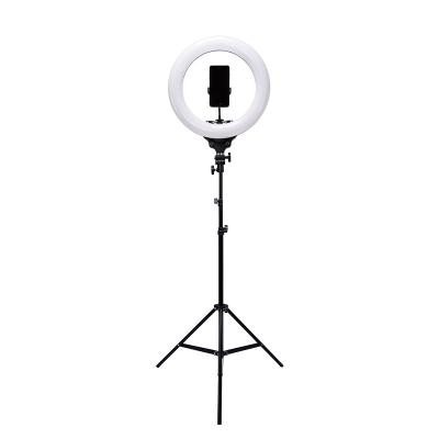 China Photography Studio Arcury 18 inch PORTABLE LED Ring Light L18 for sale