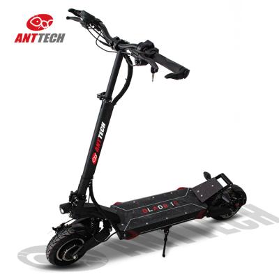 China Dual Blade 10 Brushless Motor 1200W E-scooter Unisex 10 Inch Air Tire Kick Off-Road Electric Scooter for sale