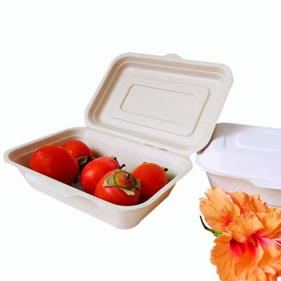 China mymoonpie disposable wholesale eco-friendly bamboo disposable food box sugarcane packaging for sale