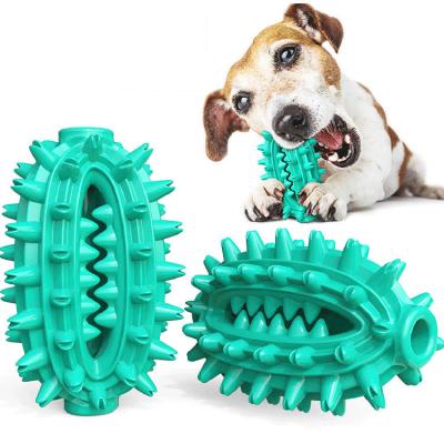 China Wholesale Customizable Dog Toys Sunken Food Cactus Dog Toothbrush Stick Durable 2022 Molar Pet Dog Toy for sale