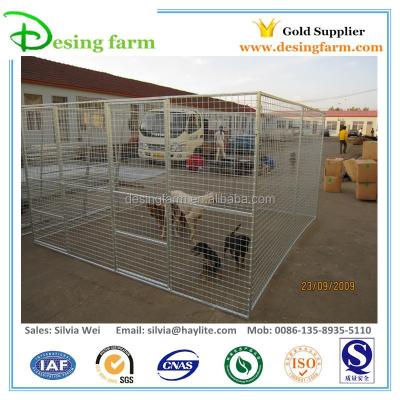 China Viable Quick Install Dog Kennel Buildings for sale