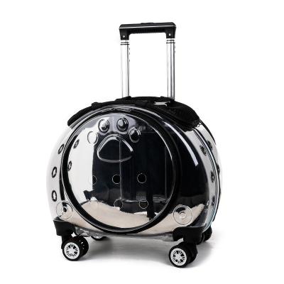 China New Viable Trolley Box Portable Transparent Bag Backpack Pet Air Box Bubble Extinguishing Multifunctional Case for sale