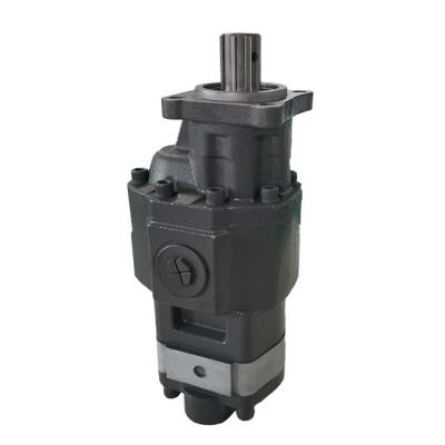 China Standard CbhsN17-80 Hydraulic Gear Pump for Dump Truck in Black Performance for sale