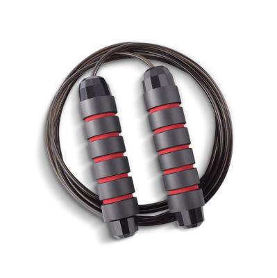 China Steel Wire Jump Rope Durable High Speed ​​Cordless Fast Speed ​​Fitness Weighted Jump Rope for sale