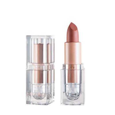 China HANDAIYAN Waterproof 12 Colors Long Lasting Matte Nude Lipstick Dye Luster Lipstick Makeup Cosmetics for sale