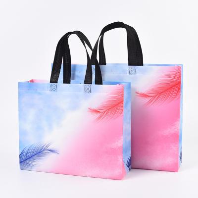 China Promotion Tote Laundry Handled Non Woven Shopping Bag Made In China for sale