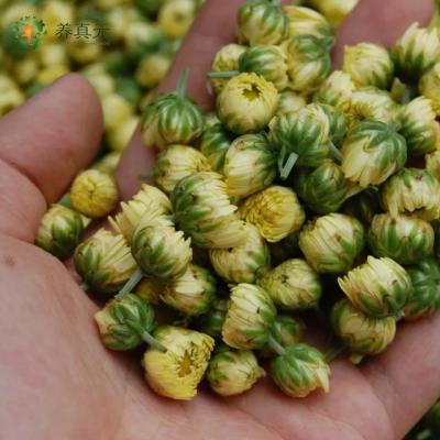 China Health Care Bulk Natural Golden Organic Chrysanthemum Chrysanthemum Chrysanthemum Tea Dry Golden Chrysanthemum for sale