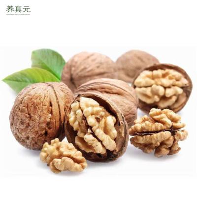 China China Wholesale Dried Raw Walnut In Shell 1kg Walnut Price for sale