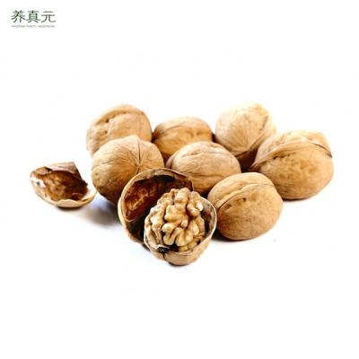 China Chinese Raw Walnut Fruit Dried Nuts For Sale for sale