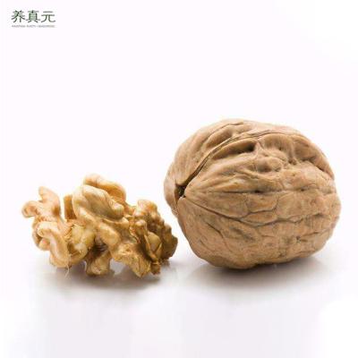 China Wholesale Dried China Xinjiang Raw Walnut Without Shell for sale