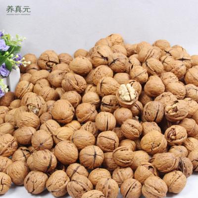 China China Cheap Price Dried Raw Walnut Shell Blanched Shelled Black Walnuts For Sale for sale