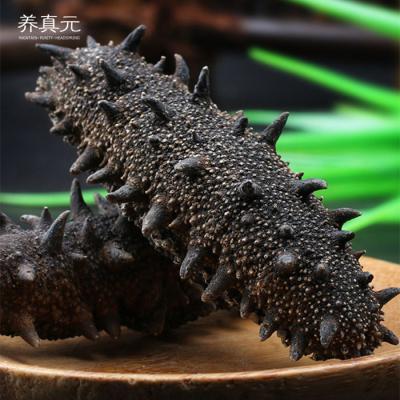 China Nutritious Chinese Dry Sea Cucumber Dry Sea Cucumber Price for sale