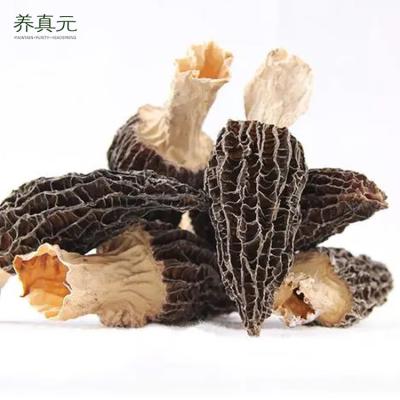 China Dry Dry Nightshade Mushroom Price for sale