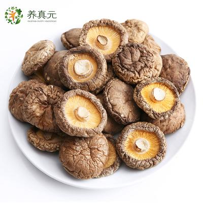 China Dry shiitake mushroom for sale