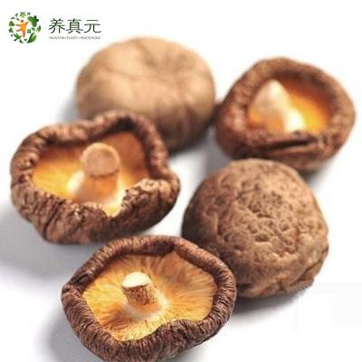 China Dried sliced ​​prices dried shiitake mushroom ingredient for sale