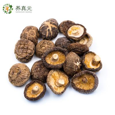 China Dry dry shiitake mushroom 1kg for sale