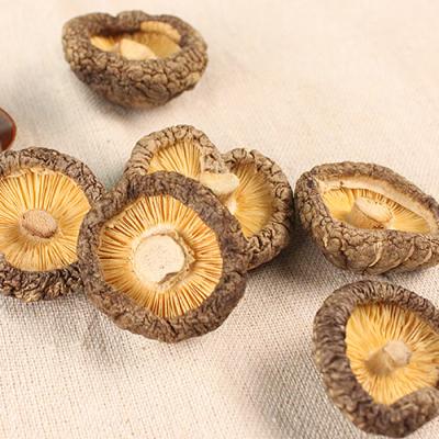 China dry dry shiitake mushroom for sale