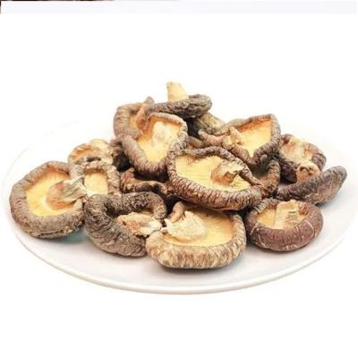 China dry dry shiitake mushroom for sale