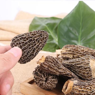 China Dried wild nightshade mushroom dried nightshade for sale