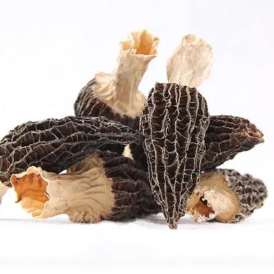 China 2021 Price Fresh Dried Black Nightshade Mushrooms Dried Wild Talking Nightshade Mushrooms For Sale for sale