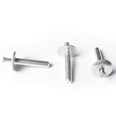 China Stainless Steel Easily And Quickly Tie Tamper-Resistant Drive Rivets Made Head Drive Rivet for sale