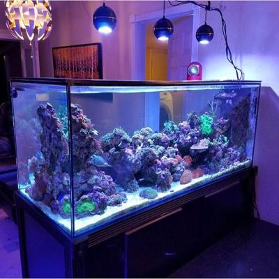 China Led Aquarium Plant Light Plant For LED Aquarium Light Coral Reef Aquarium Led Aquarium Lights For Coral Tank for sale