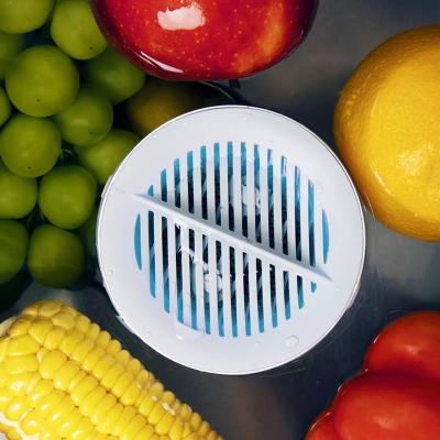 China Outdoor Portable Capsule Fruit Vegetable Seal Fruit Vegetable Scrubber Disinfector Non-Ultrasonic Food Scrubber for sale