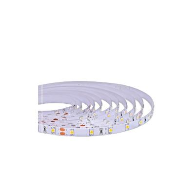 China Garden 2022 New 3528-60 Single Color Led Strip Light IP68 400-420LM Light Flexible Perm Led for sale