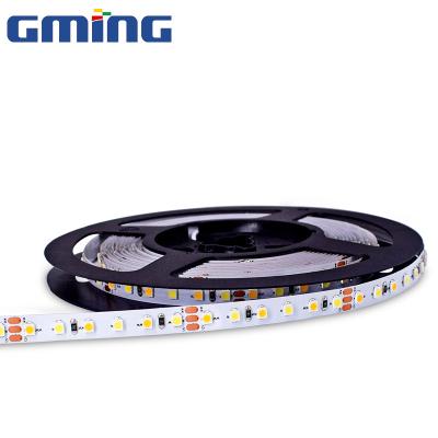 China China Supplier Residential High CRI 90 Led Strip Light 3528 Dc24v Dual Color 2700k 6500k Led Strip Light for sale