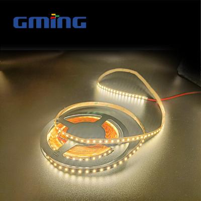 China High Quality LANDSCAPE 120LEDs/M Waterproof SMD2835 LED Strip Light For Decor Lighting for sale