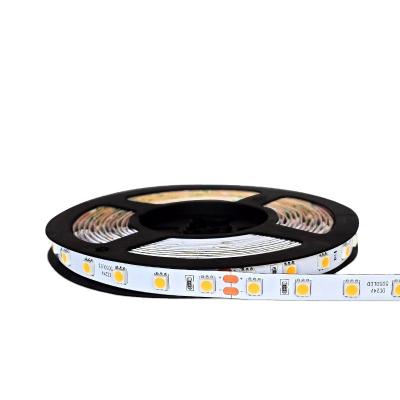 China Garden ; Hotel ; Professional Home Decor Factory Bedroom Light Strips Switch Control 12V/24V 12W LED Monochromatic Strip Light Tape for sale