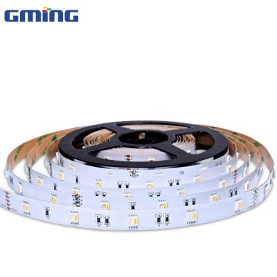 China Used in smart home wholesale factory direct sales rgb 12v 24v waterproof led strips light for sale