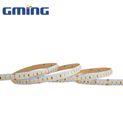 China Home Decor 2022 New Design Led Strip Dc12v 24v 12w 5050smd RGB Led Decorative Lights for sale