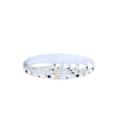 China Garden ; Good Reputation Hotel 2021 Dc12v Smd 5050 60 LED RGB 10mm Wide Led Strip Light for sale