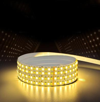 China Flexible LANDSCAPE LED Strip Light 3000K 6000K CCT 3528 LED Lighting Used For Holiday Home Decor for sale