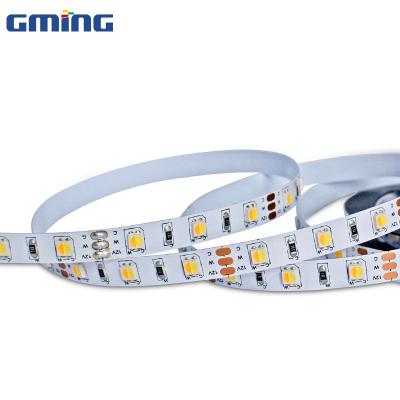 China Heat Resistant Led Garden Strip Light SMD 3838 CCT Variable Colors Both Heat White And White Led Strip for sale