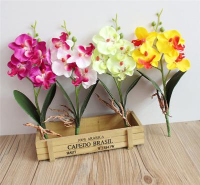 China Hot Sale Home Artificial Plants Amazon Decoration Fake Flower Moth Orchid For DIY Flower Arrangement for sale