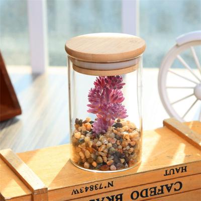 China Home Decor Plants Wholesale Small Size Artificial Succulents in Bottle for Office Decoration for sale