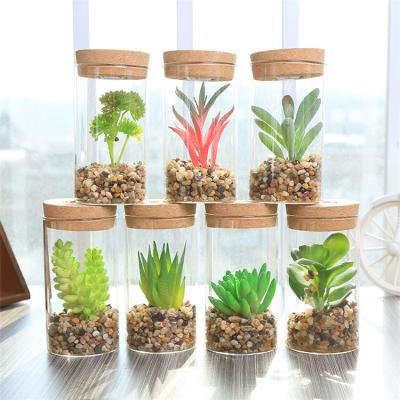 China Home Decor Plants Wholesale Small Size Artificial Succulents in Bottle for Office Decoration for sale