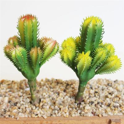 China home & Hotsale Mini Succulents Garden Decoration Artificial Cactus DIY Tropical Plant Unpotted Flower Arrangement Accessories For Home Decoration for sale