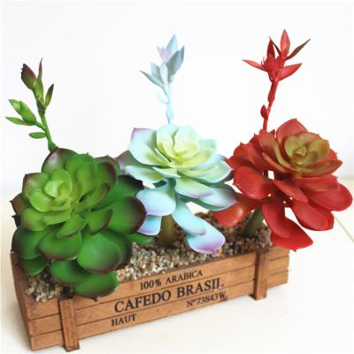 China home & China Garden Decoration Factory Wholesale DIY Fake Succulents Mini Flower Arrangement Unpotted Accessories For Home Decoration for sale