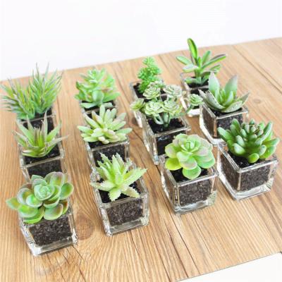 China Indoor Highly Realistic Small Size Artificial Succulents Plants Decoration Pots For Home Decor for sale