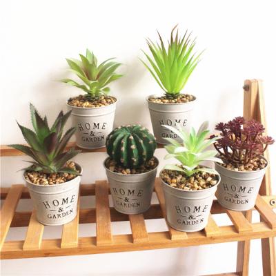 China Mini Desktop Decoration Artificial Plastic Succulents Potted With Metal Pot Desktop Decoration For Home And Garden Decoration for sale