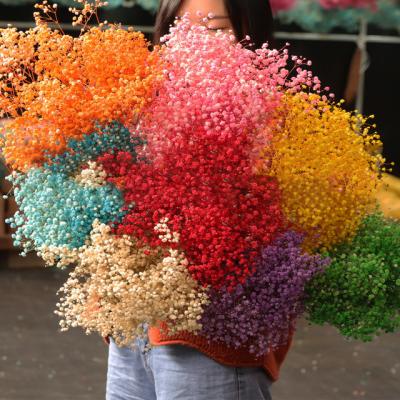 China Natural dry flowers babysbreath flower Valentine's Day decoration gift dry colorful home bouquet real flowers for sale