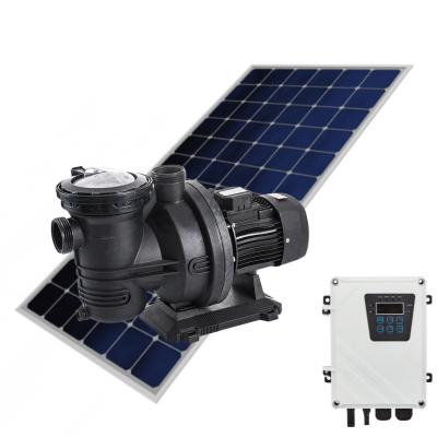 Cina Other 2.5 Hp 3 Hp Pump 72v Recirculation Water Swimming Pool Water Pump , Solar Powered Swimming Pool Pump in vendita