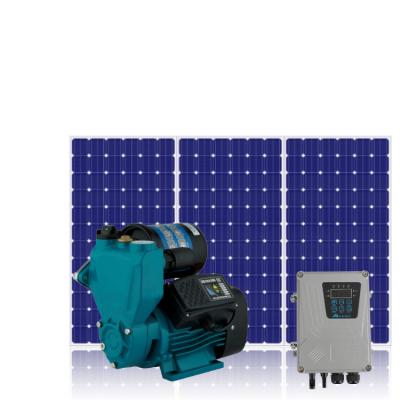 China Other China Manufacturers 24v 300w Professional Power Electric Solar Self Priming Water Pump for sale